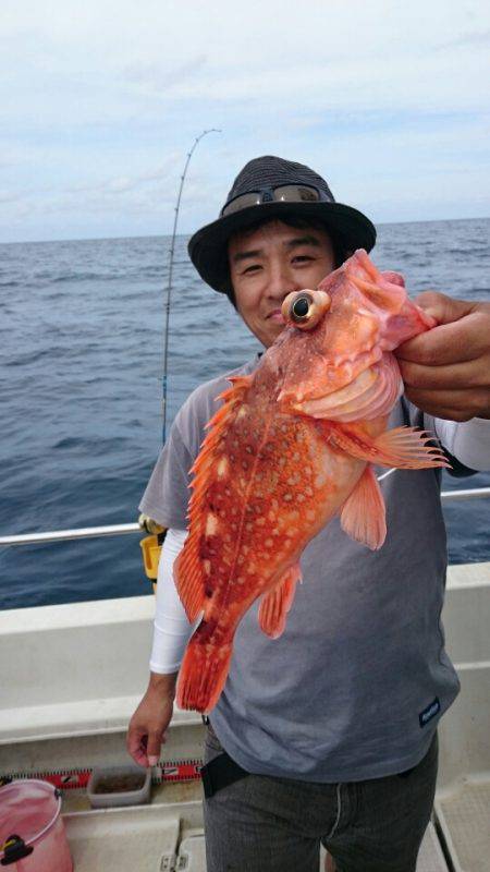 ARCADIAⅡ (アルカディアⅡ) 釣果