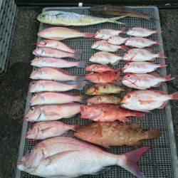 ARCADIAⅡ (アルカディアⅡ) 釣果