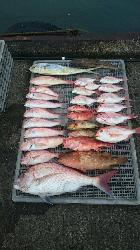 ARCADIAⅡ （アルカディアⅡ） 釣果…