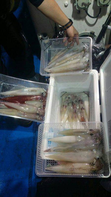 海龍丸(石川) 釣果