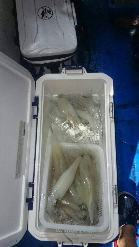 海龍丸(石川) 釣果