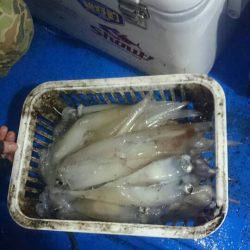 海龍丸(石川) 釣果