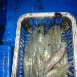 海龍丸(石川) 釣果