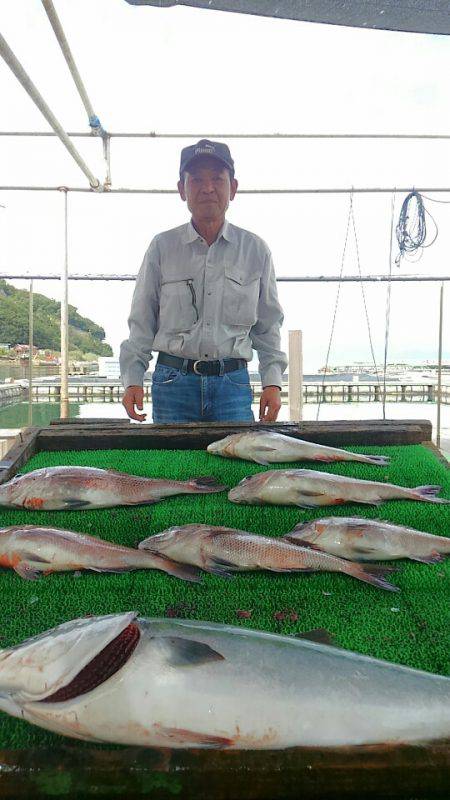 海の釣堀 海恵 釣果