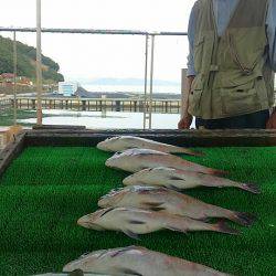 海の釣堀 海恵 釣果