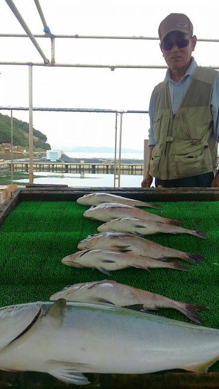 海の釣堀 海恵 釣果