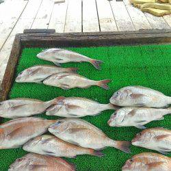 海の釣堀 海恵 釣果