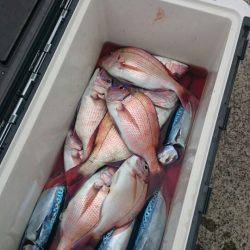 第三共栄丸 釣果