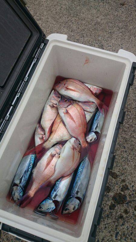 第三共栄丸 釣果