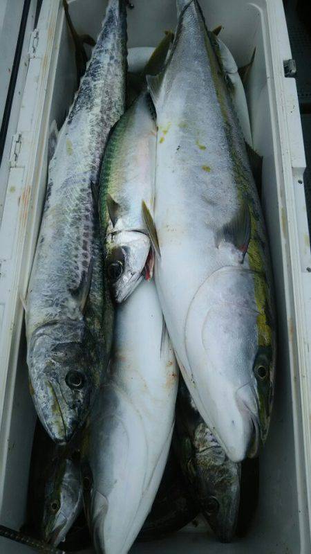 サンマリン 釣果