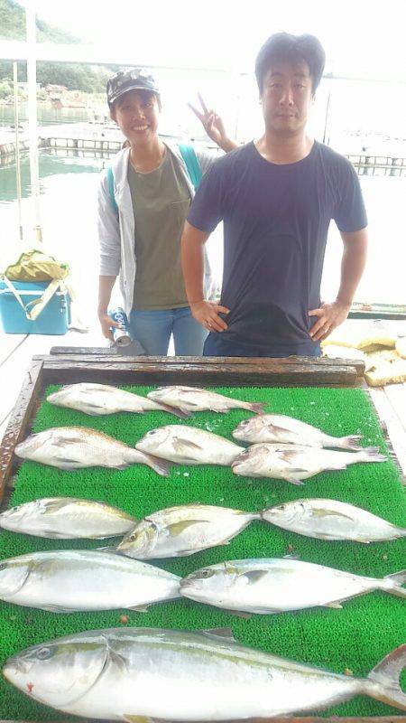 海の釣堀 海恵 釣果