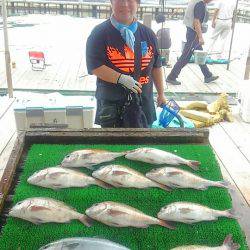 海の釣堀 海恵 釣果