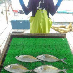 海の釣堀 海恵 釣果