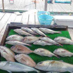 海の釣堀 海恵 釣果