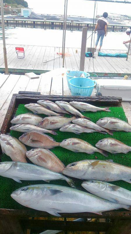 海の釣堀 海恵 釣果