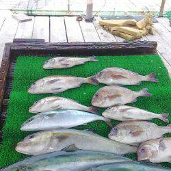 海の釣堀 海恵 釣果