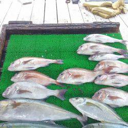 海の釣堀 海恵 釣果
