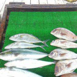 海の釣堀 海恵 釣果