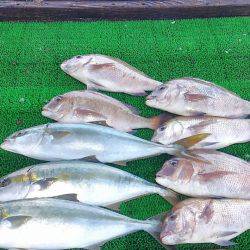 海の釣堀 海恵 釣果