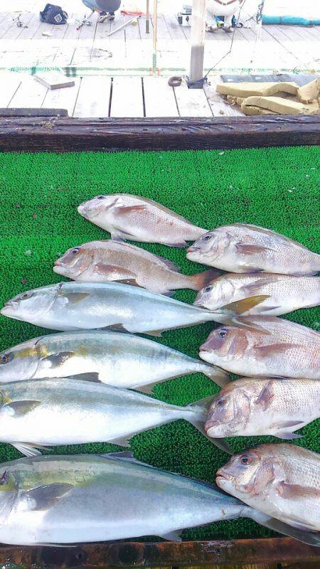 海の釣堀 海恵 釣果