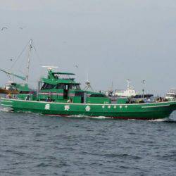 金沢八景鴨下丸 釣果