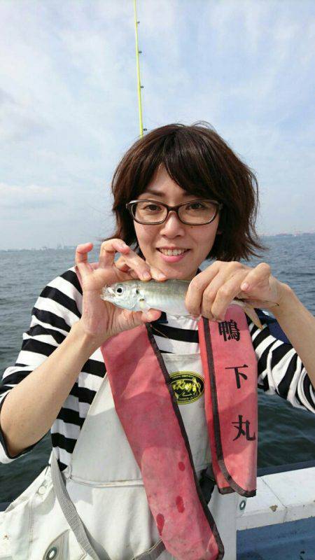 金沢八景鴨下丸 釣果