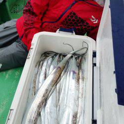 金沢八景鴨下丸 釣果