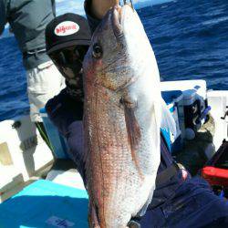 ブルドック 釣果