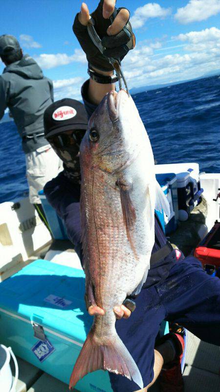 ブルドック 釣果