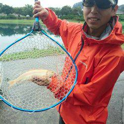 加賀フィッシングエリア 釣果