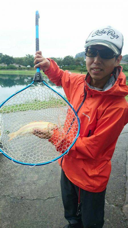 加賀フィッシングエリア 釣果