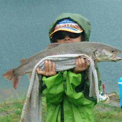 加賀フィッシングエリア 釣果