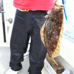 ブルドック 釣果