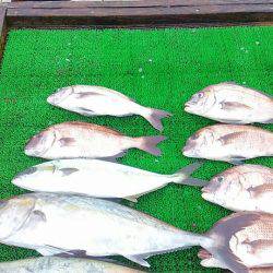 海の釣堀 海恵 釣果