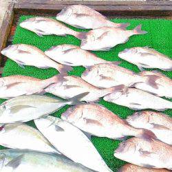 海の釣堀 海恵 釣果