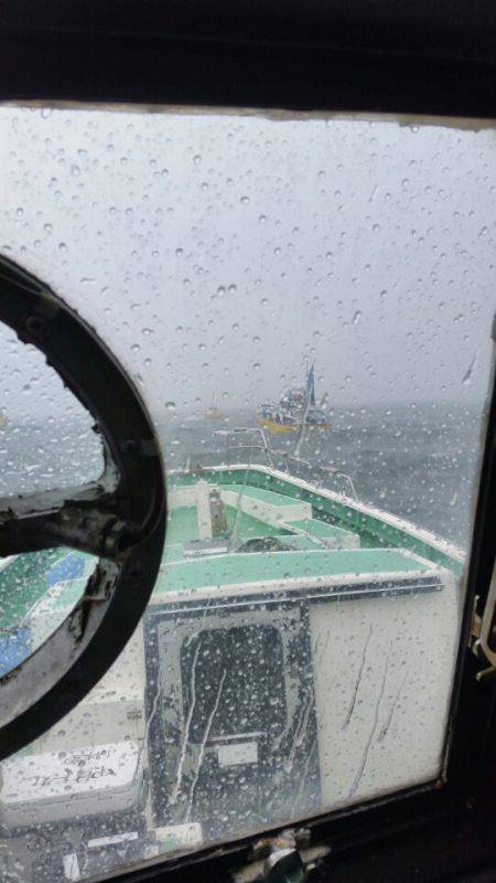 金沢八景鴨下丸 釣果