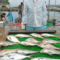 海の釣堀 海恵 釣果
