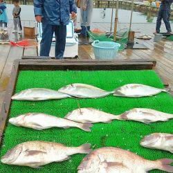 海の釣堀 海恵 釣果