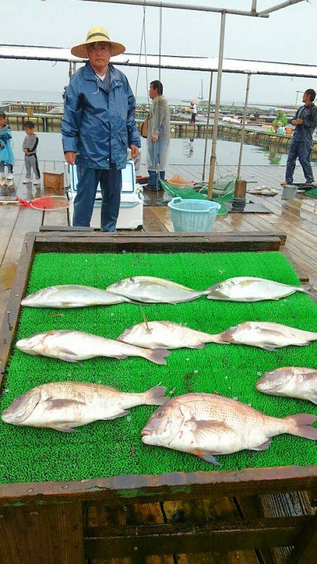 海の釣堀 海恵 釣果