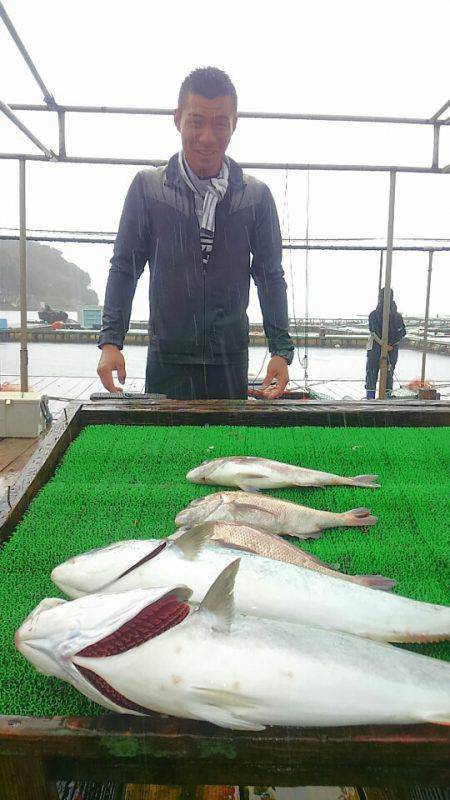 海の釣堀 海恵 釣果