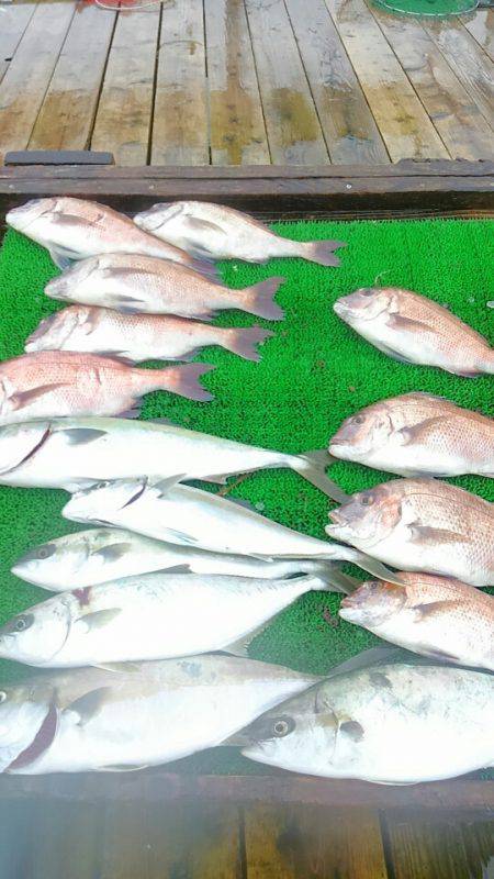 海の釣堀 海恵 釣果