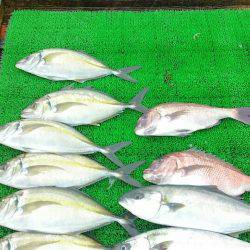 海の釣堀 海恵 釣果