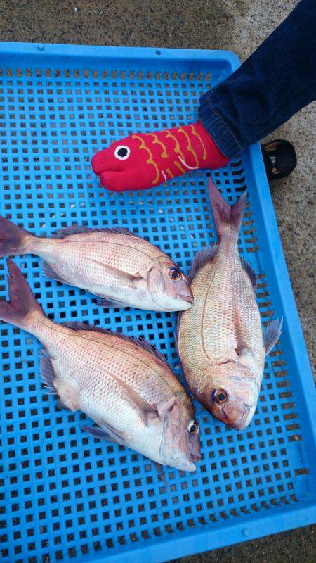 第三共栄丸 釣果