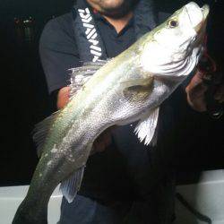 Monster Rush! 釣果