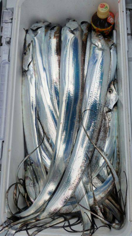 金沢八景鴨下丸 釣果