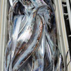 金沢八景鴨下丸 釣果