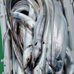 金沢八景鴨下丸 釣果