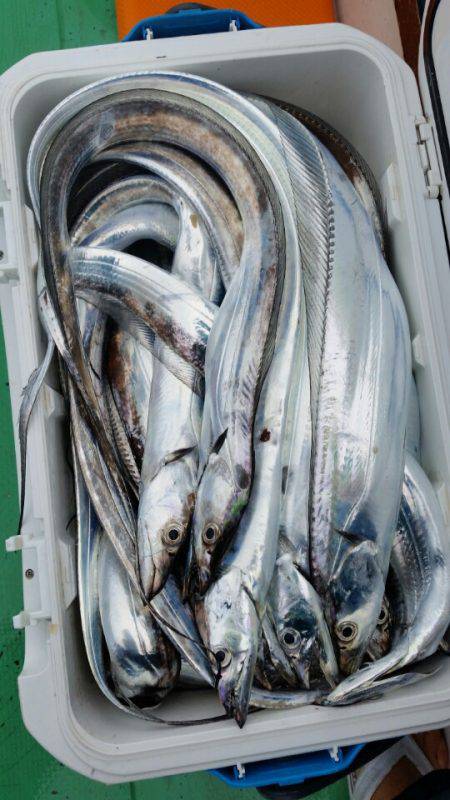 金沢八景鴨下丸 釣果