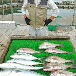海の釣堀 海恵 釣果