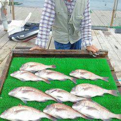 海の釣堀 海恵 釣果